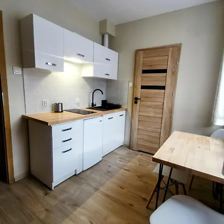 Malgosia Apartment Muszyna